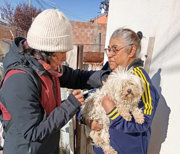 vacunacion antirrabica (3)