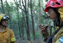 Proyectan el documental “Brigadistas” en el Melipal con charla abierta