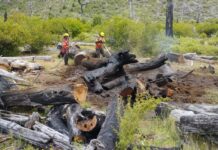 Tras días de arduo operativo, se contuvieron algunos sectores del incendio en El Turbio