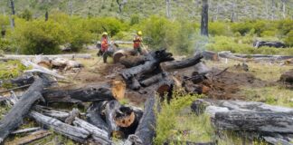 Tras días de arduo operativo, se contuvieron algunos sectores del incendio en El Turbio