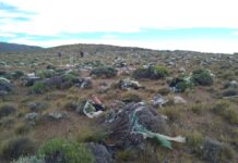 Chamorro alertó por el impacto ambiental de la PTRSU en Nahuelpan: “La situación es dantesca”