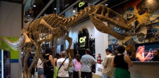 Chubut se destacó en la Noche de las Casas de Provincias en Buenos Aires