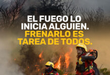 Incendios: lanzan campaña para reforzar la denuncia temprana y la respuesta inmediata