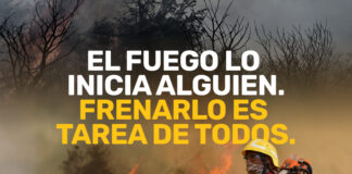 Incendios: lanzan campaña para reforzar la denuncia temprana y la respuesta inmediata