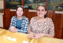 Lanzan el programa “Centro Comercial en Flor” para embellecer la zona céntrica