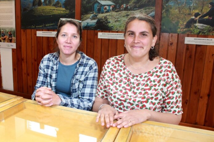 WhatsApp Image 2025-12-15 at 09.03.47