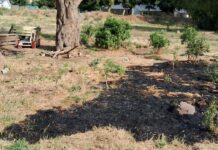 Indignante: vandalizaron los bancos instalados por estudiantes de la Escuela 735 en El Maitenal