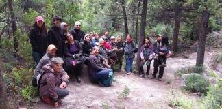 Caminata participativa para conocer la flora nativa en el Parque Nacional Los Alerces