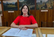 Agenda cultural: muestras, cine y teatro para disfrutar el cierre del año