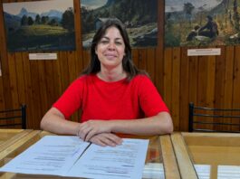 Agenda cultural: muestras, cine y teatro para disfrutar el cierre del año