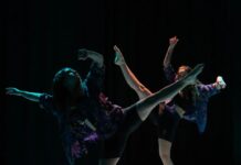 “Somos Danza” presenta sus shows de fin de año