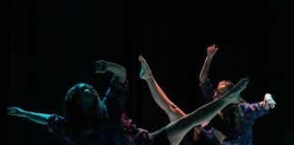“Somos Danza” presenta sus shows de fin de año