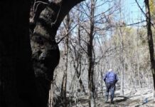 El informe pericial concluyó que el incendio de Epuyén fue intencional