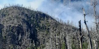 A diez días del foco inicial, brigadistas siguen trabajando para controlar el incendio en El Turbio