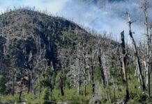 Amplio operativo: el incendio en El Turbio sigue activo
