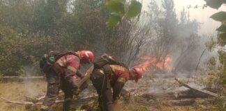 Intenso operativo para controlar el fuego en El Turbio