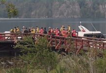 Continúa activo el incendio en el Parque Los Alerces y ya afectó 340 hectáreas