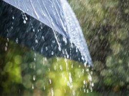 Jueves de alerta amarilla por lluvias y vientos