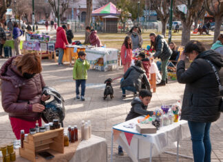 Se viene el Gran Paseo Navideño en la Plaza San Martín