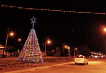 El 28 de Junio prepara su tradicional Pino Navideño con feria y números artísticos
