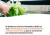 Ante la aparición de tres casos en Chubut, Salud refuerza las acciones de prevención del Síndrome Urémico Hemolítico