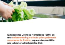 Ante la aparición de tres casos en Chubut, Salud refuerza las acciones de prevención del Síndrome Urémico Hemolítico