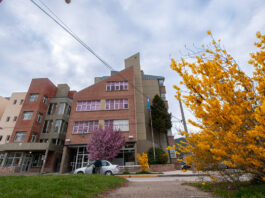 Área de Soluciones Alternativas de Conflictos: un equipo que prioriza el diálogo para evitar el juicio oral