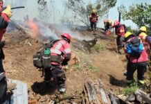 El incendio forestal en la zona de El Turbio fue contenido