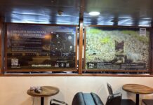 Esquel se promociona en Chile y fortalece el corredor turístico hacia Puerto Montt