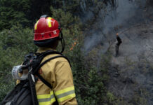 Parque Nacional: horas decisivas para el combate del fuego, en medio de condiciones climáticas complejas