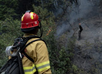 Parque Nacional: horas decisivas para el combate del fuego, en medio de condiciones climáticas complejas