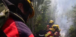 Continúa activo el incendio en Puerto Patriada y ya afectó más de 5200 hectáreas