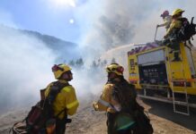 Incendio forestal en Puerto Patriada: advierten riesgo elevado y comportamiento impredecible del fuego