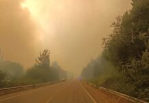 Corte preventivo de la Ruta Nacional 40 entre El Hoyo y Epuyén por el incendio forestal