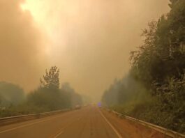 Corte preventivo de la Ruta Nacional 40 entre El Hoyo y Epuyén por el incendio forestal