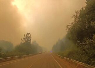 Corte preventivo de la Ruta Nacional 40 entre El Hoyo y Epuyén por el incendio forestal
