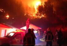 Incendio en Puerto Patriada: Fiscalía confirmó que fue intencional