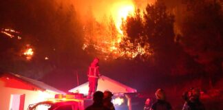 Incendio en Puerto Patriada: Fiscalía confirmó que fue intencional