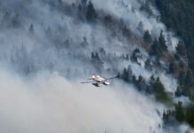 Incendio en Puerto Patriada: Fiscalía confirmó que fue intencional