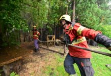 Continúa el arduo trabajo de combatientes y medios aéreos para controlar el incendio en Puerto Patriada