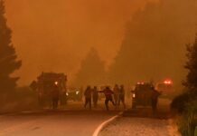 Incendios forestales: evacúan Coihue y La Angostura y cortan la Ruta 40