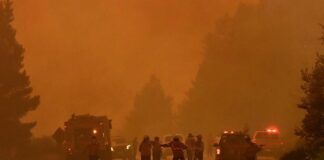 Incendios forestales: evacúan Coihue y La Angostura y cortan la Ruta 40