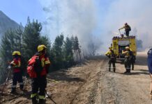 El incendio en Puerto Patriada ya afectó más de 3.500 hectáreas