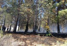 El incendio en La Zeta fue controlado y extinguido