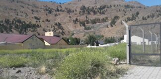 Intensifican controles por uso indebido del agua y falta de limpieza en terrenos baldíos