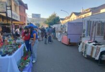 Peatonal con feria y música en vivo en el centro de Esquel