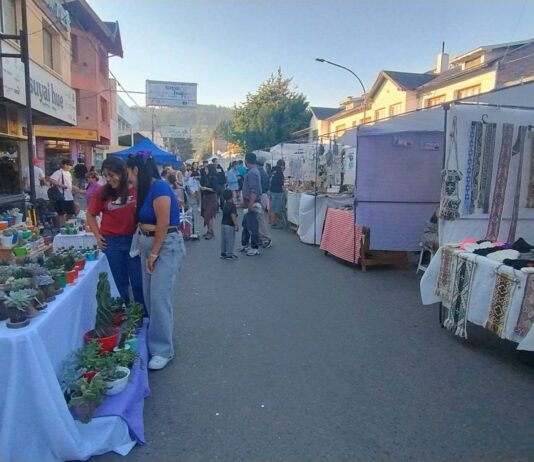 Peatonal con feria y música en vivo en el centro de Esquel