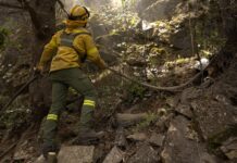Parque Nacional: continúa la lucha contra el fuego, con el viento como principal condicionante