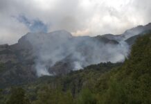 Este domingo en Esquel, nueva marcha en defensa de los bosques