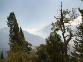 Tras un sábado complejo, se suman recursos y sigue el combate del fuego en Los Alerces